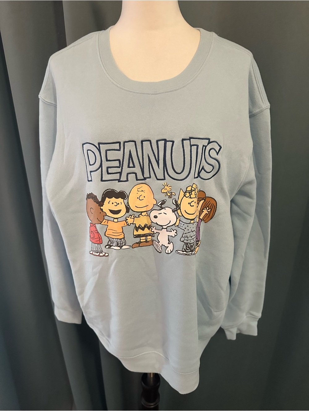 Peanuts Snoopy Charlie Brown Women's 1X Blue Graphic Sweatshirt Crewneck NWOT